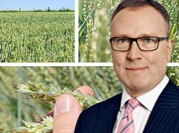 Als Rohstoff wird ein ursprünglich aus der Natur gewonnener, für eine industrielle Be- bzw. Verarbeitung geeigneter oder bestimmter Stoff bezeichnet.