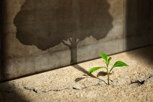 adobestock_461834005.jpg