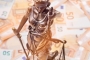 1703151254_adobestock_375230038_justiz_geld_tanja_esser.jpg
