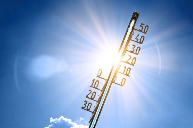 Sonnenstich Staatliche Steuersoftware Sturzt Ab Markte 06 06