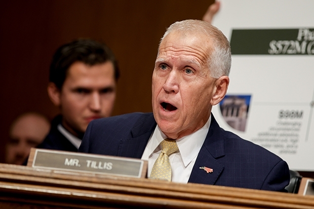 Thom Tillis, US-Senator