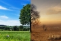 1619699664_klimawandel.jpg