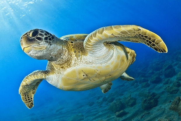 adobestock_265305573.jpg