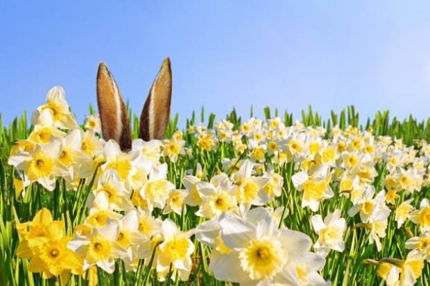 adobestock_131131838.jpg