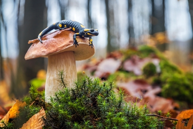 adobestock_373299191.jpg