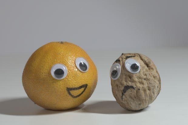 Freud und Leid