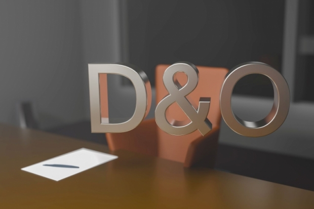 D&O