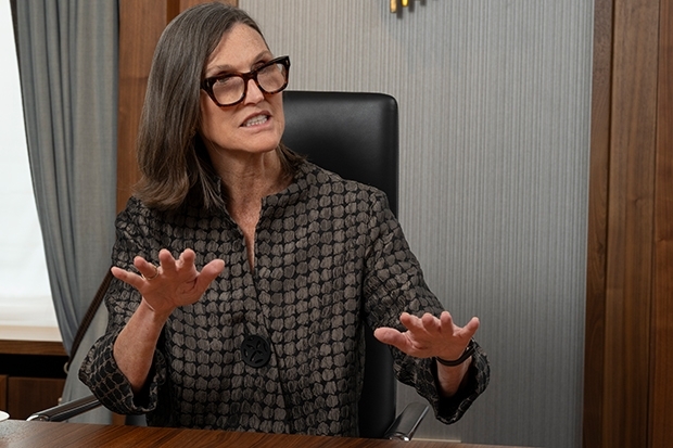 Cathie Wood, Ark Invest