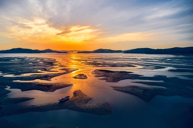 adobestock_1003697715.jpg
