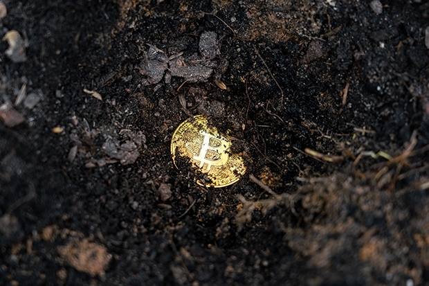 adobestock_429801153.jpg