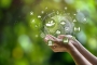 1745838683_adobestock_523787861.jpg