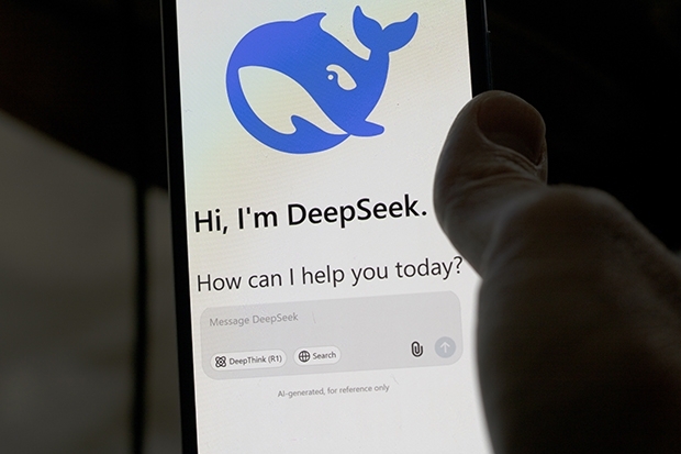 DeepSeek