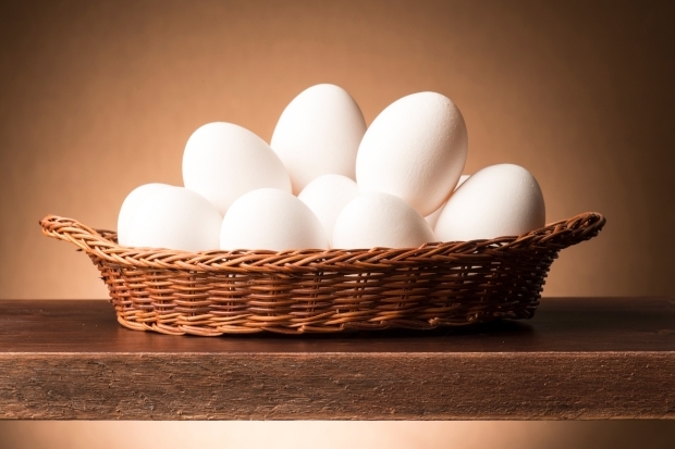 adobestock_62741065.jpg