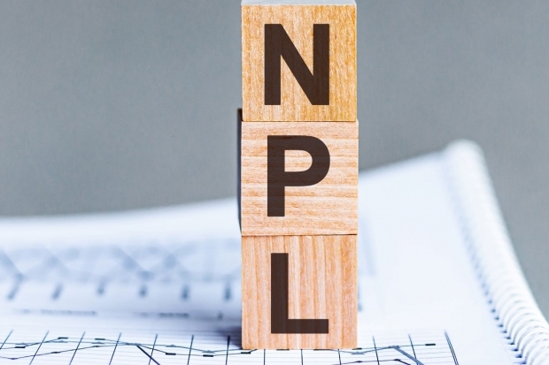 Non-Performing Loans (NPL)