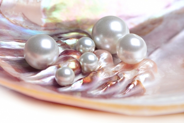 valeriy555 / stock.adobe.com