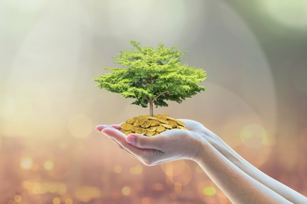 Chinnapong / stock.adobe.com
